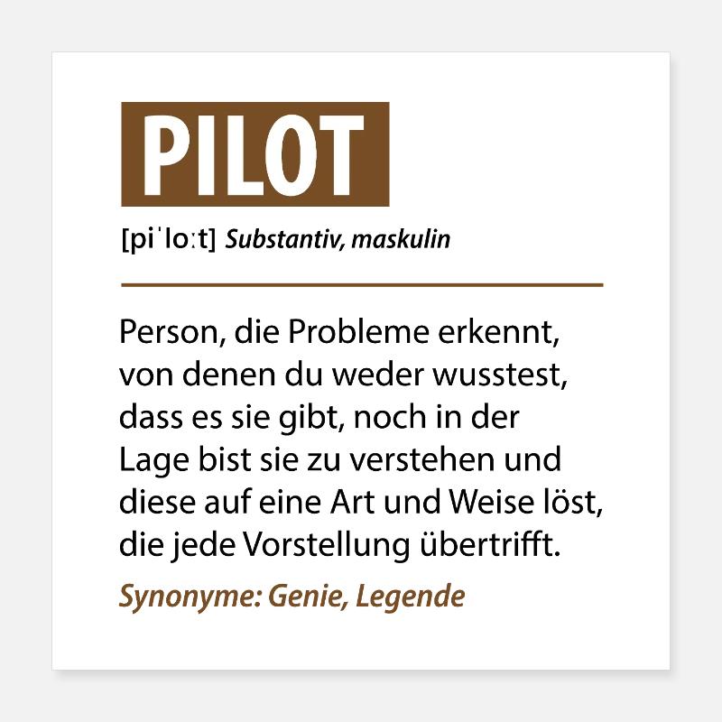 Lustige Pilot Beruf Definition Geschenke Poster 40x40 cm