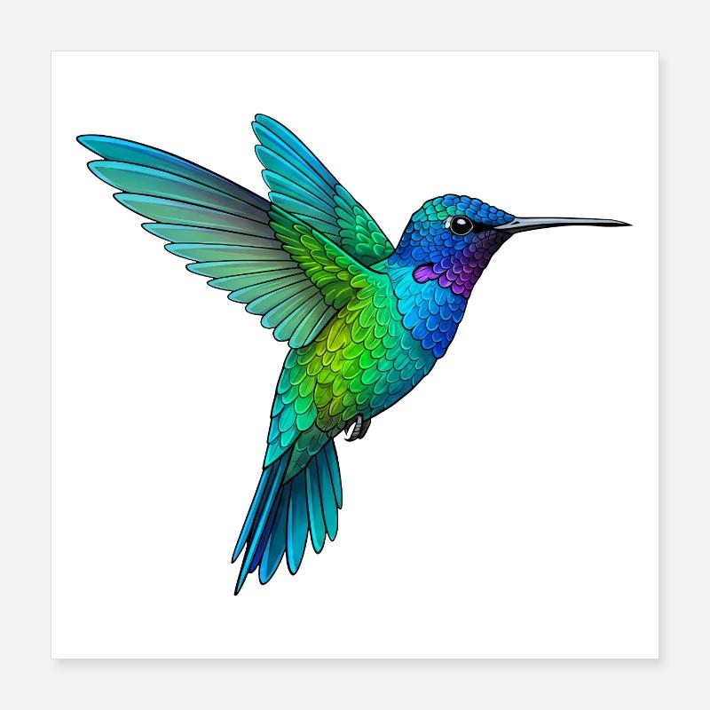 Rainbow Hummingbird Flight Poster 16" x 16" (40x40 cm)