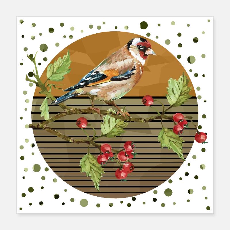 Oiseau coloré Poster 40 x 40 cm