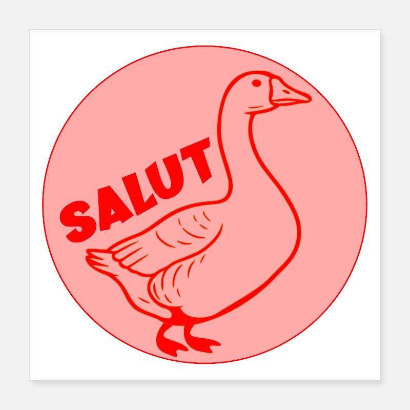 Fun Goose Hallo Poster 40x40 cm