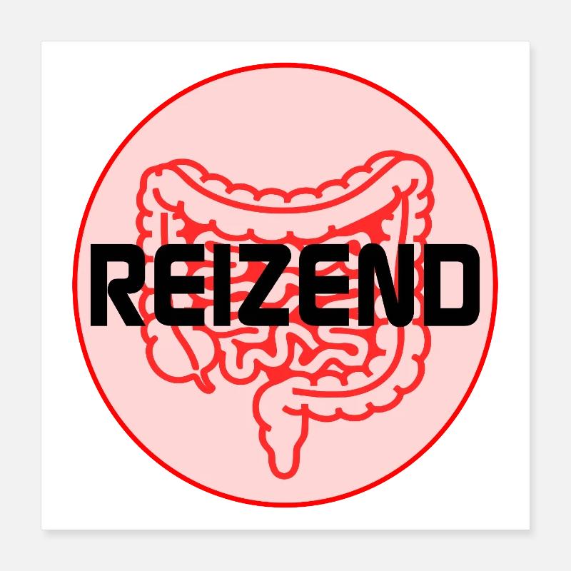 IRRITATING BOWEL IRRITABLE BOWEL SYNDROME Poster 16" x 16" (40x40 cm)