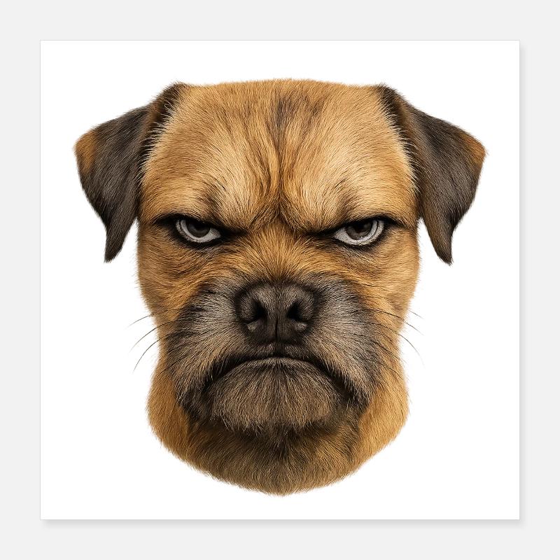 Grim Dog Face | Border Terrier Poster 16" x 16" (40x40 cm)