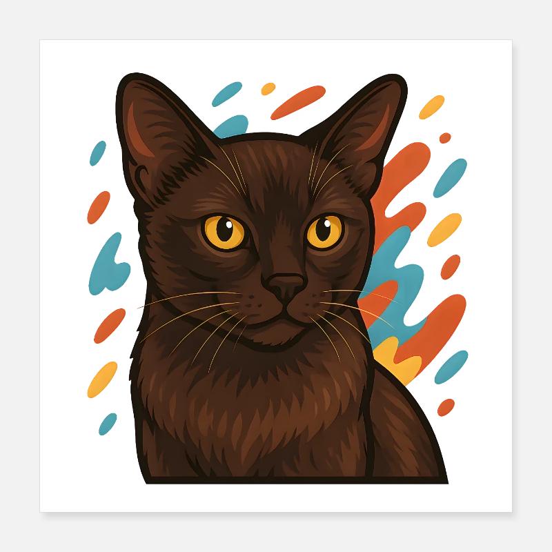 Chat birman avec fond coloré Poster 40 x 40 cm