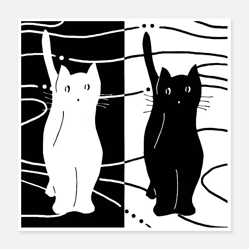 Katzen Poster 40x40 cm