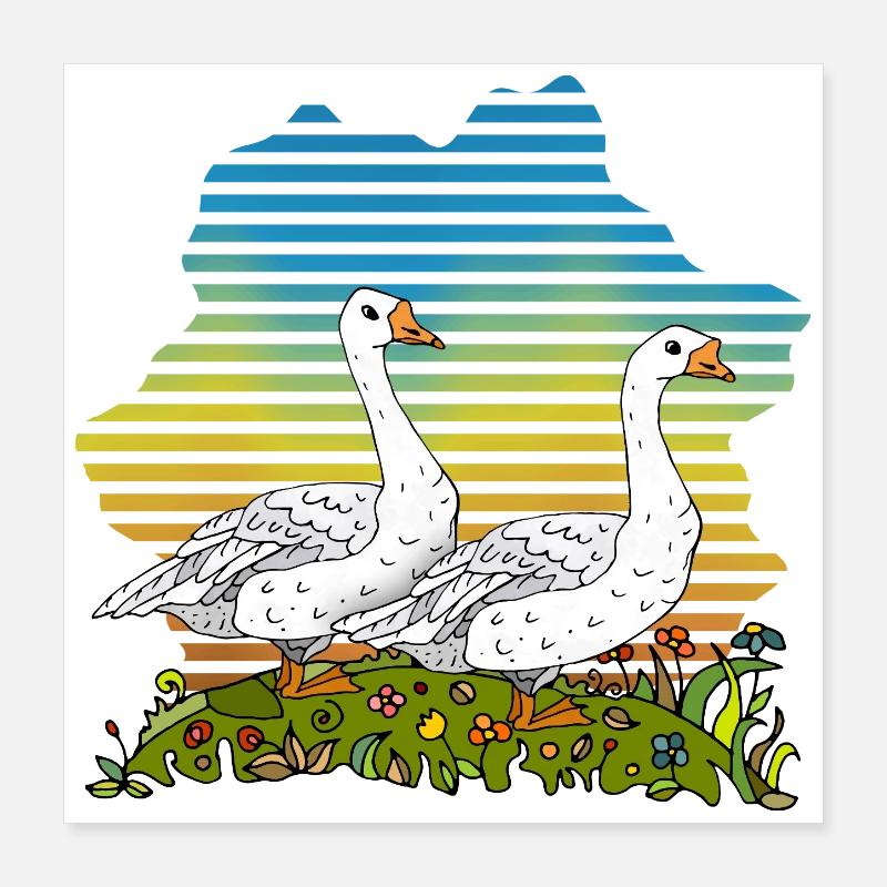 Gänse Poster 40x40 cm