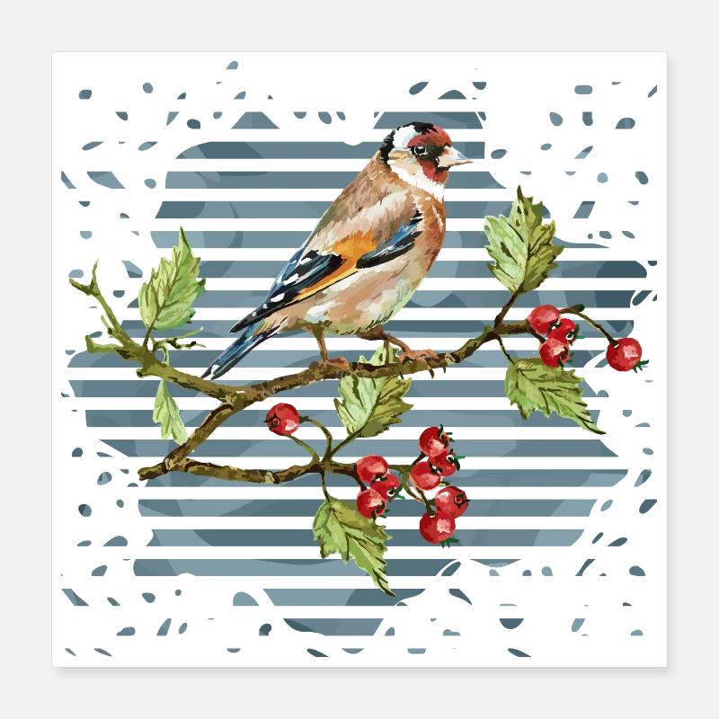 Bunter Vogel Poster 40x40 cm