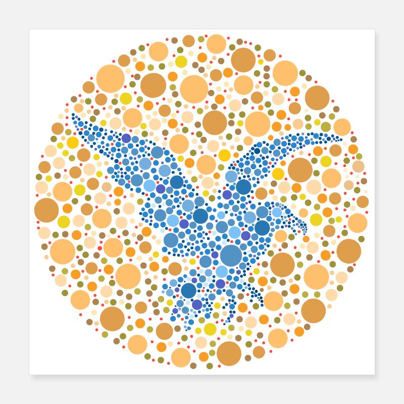 Farbtest Adler Poster 40x40 cm