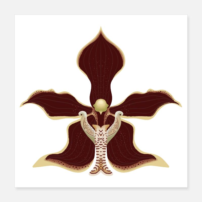 fleur d’orchidée Poster 40 x 40 cm