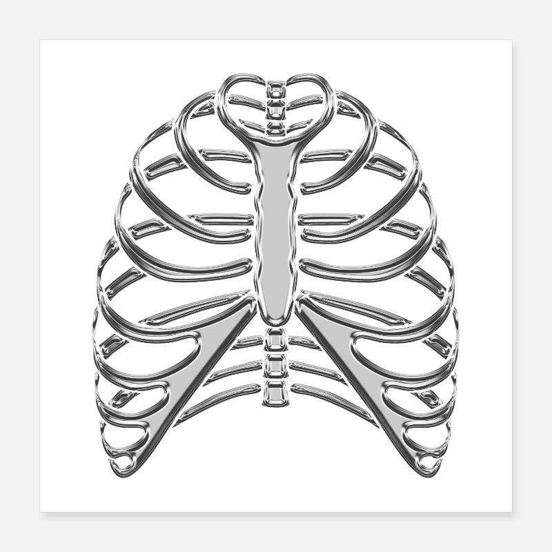 Chrome Ribcage / Skeleton Ribs Poster 16" x 16" (40x40 cm)