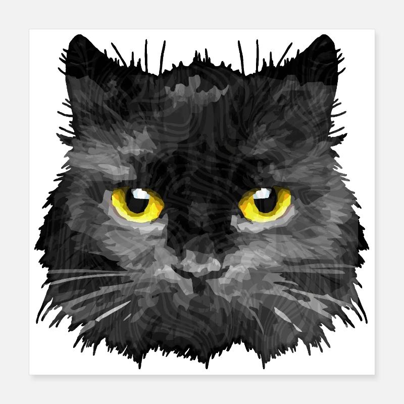 chat Poster 40 x 40 cm