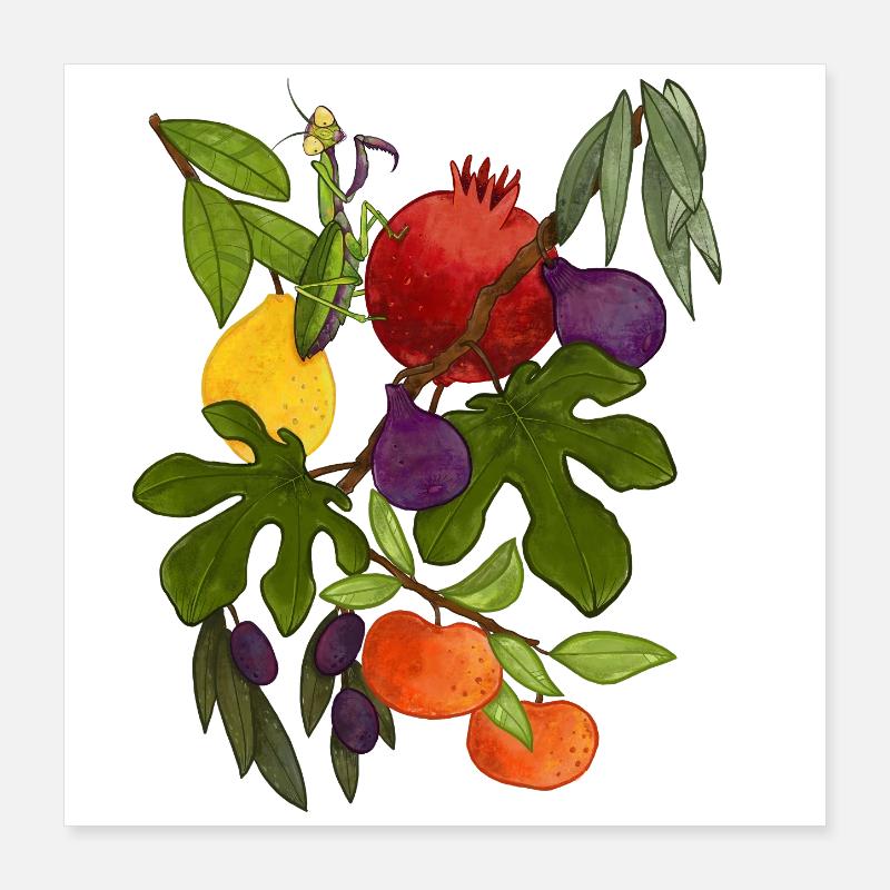 Mediterranean Autumn Poster 16" x 16" (40x40 cm)