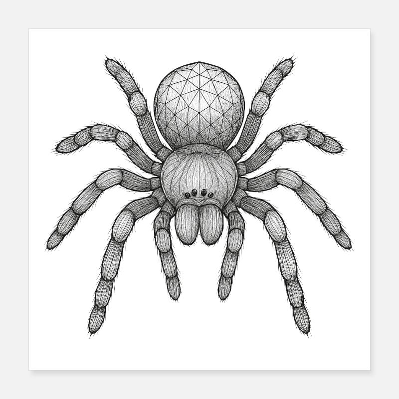 Geometric Tarantula Icon Poster 16" x 16" (40x40 cm)