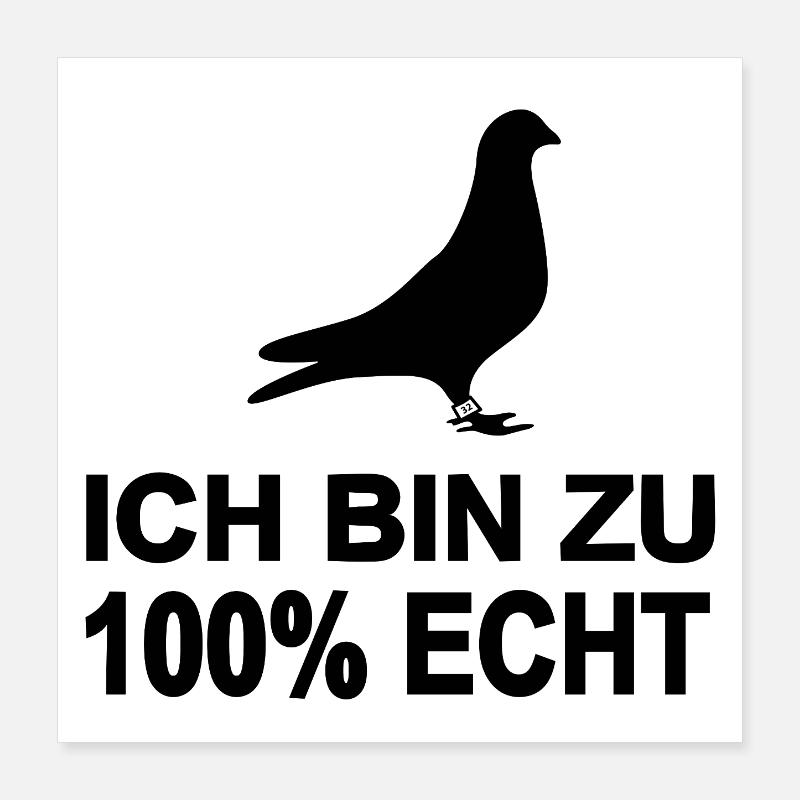 Tauben Poster 40x40 cm
