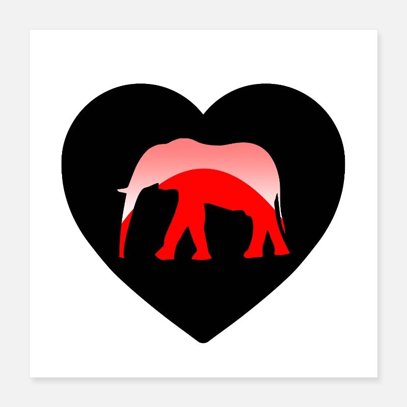 Éléphant Poster 40 x 40 cm