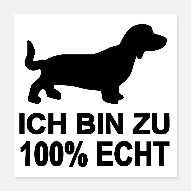 Dackel Poster 40x40 cm