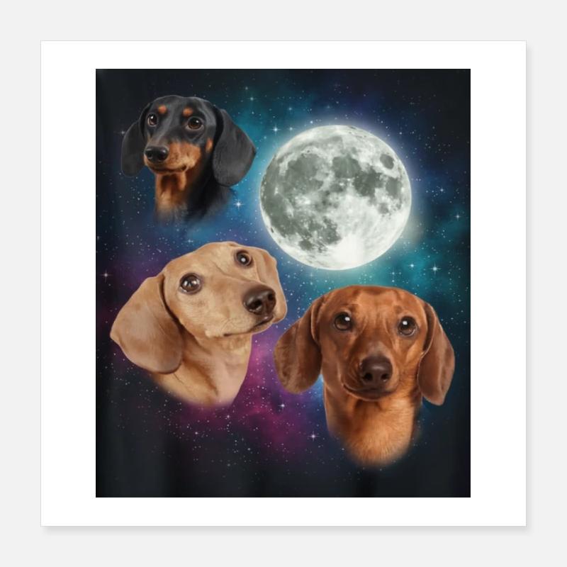 Mème drôle de trois teckels et pleine lune spatiale Poster 40 x 40 cm