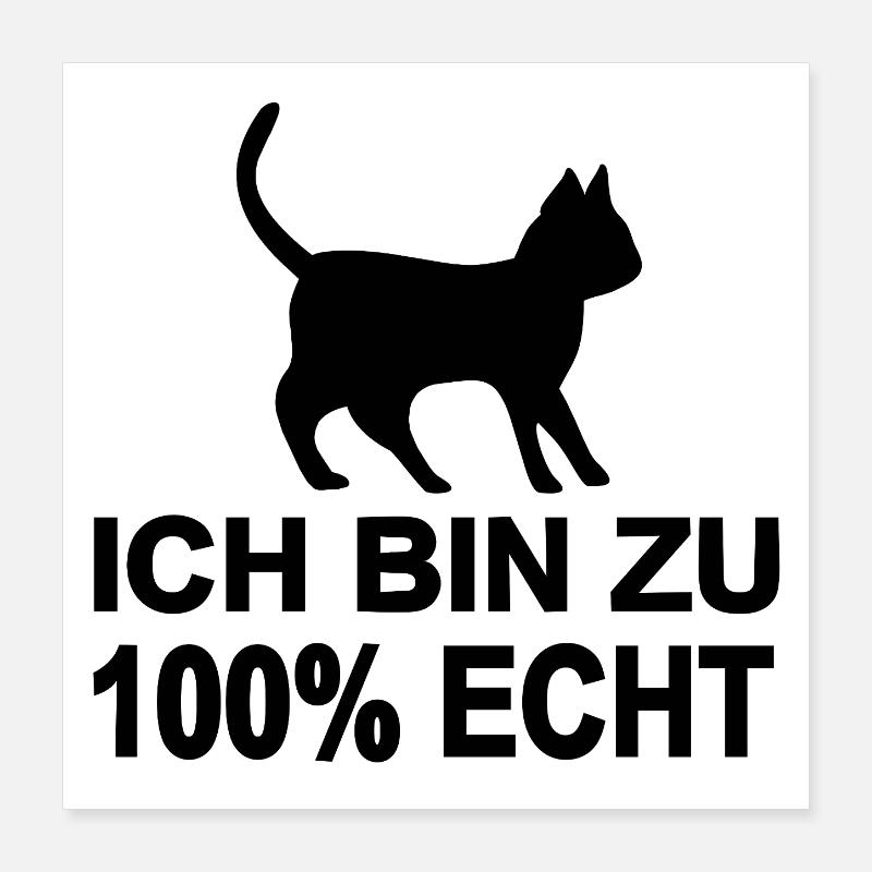 Katze Poster 40x40 cm