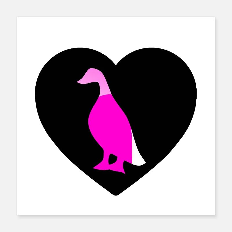 Canards Poster 40 x 40 cm