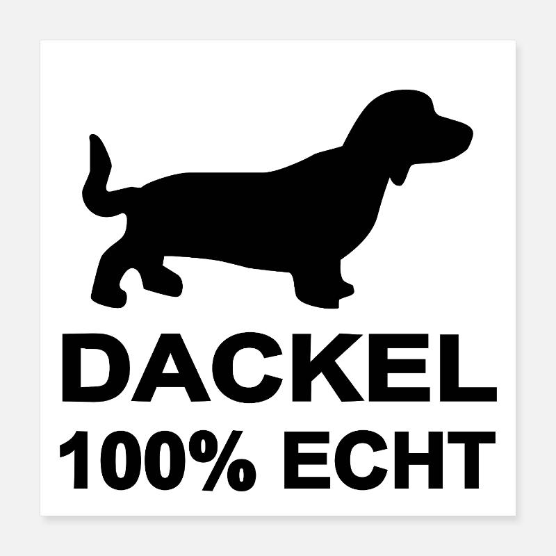 Teckel Poster 40 x 40 cm