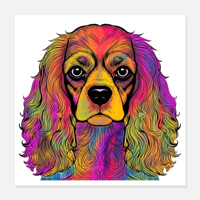 Cavalier King Charles Spaniel Poster 40 x 40 cm