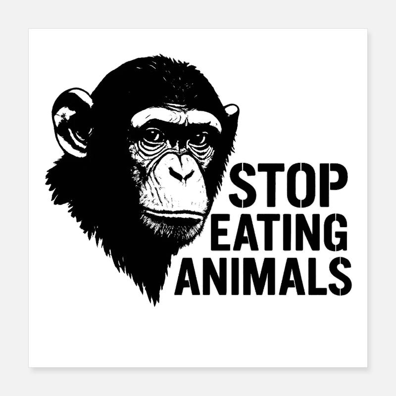 Les chimpanzés arrêtent de manger des animaux Poster 40 x 40 cm