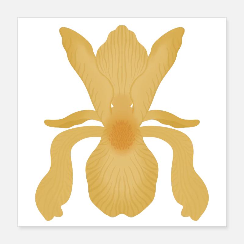 Goldene Irisblüte Poster 40x40 cm