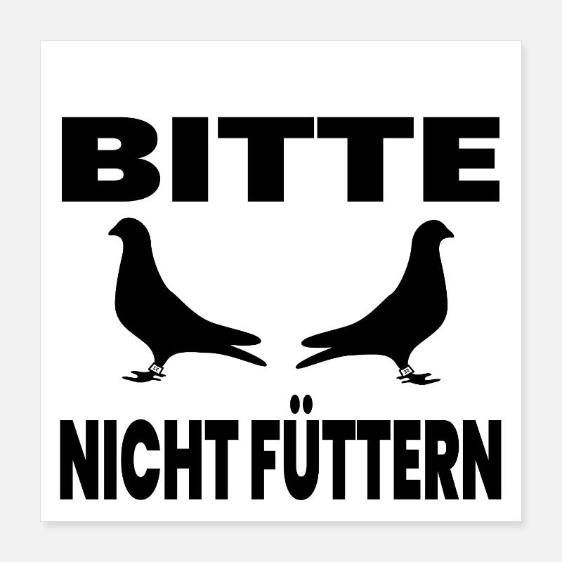 Doves Poster 16" x 16" (40x40 cm)