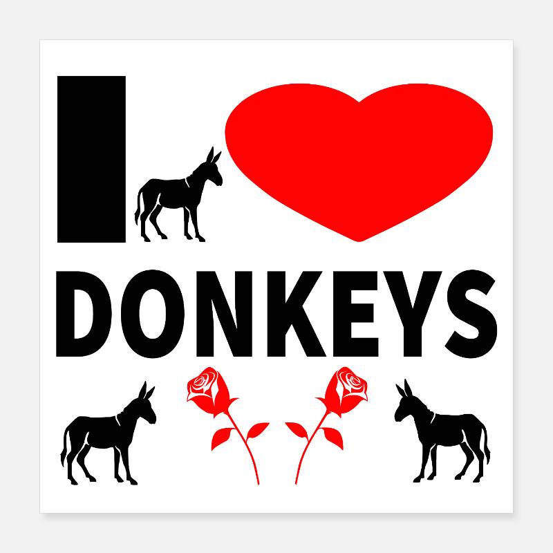 Esel Poster 40x40 cm