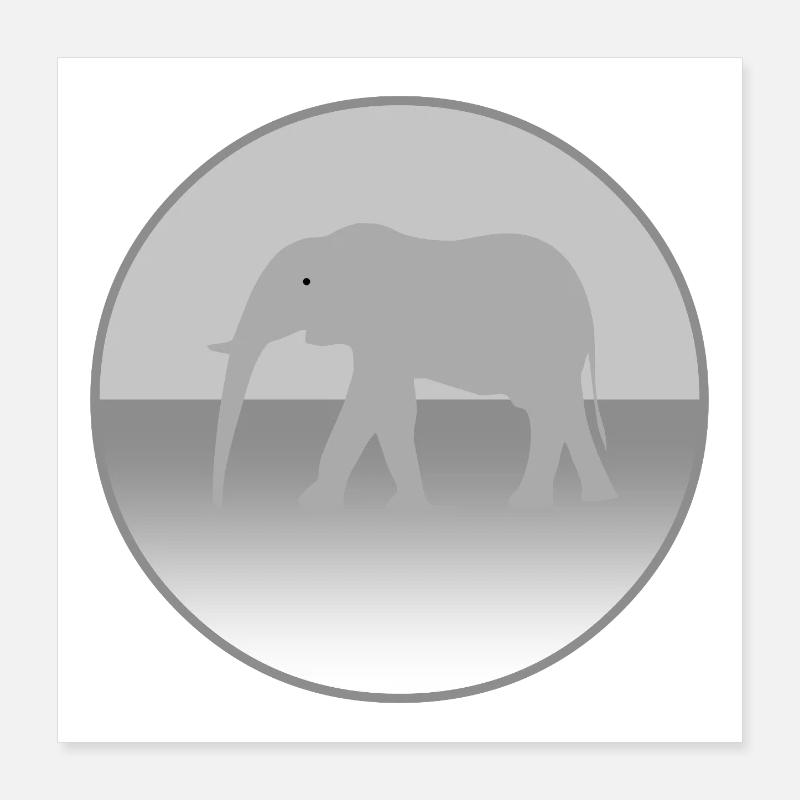 Elefant Poster 40x40 cm