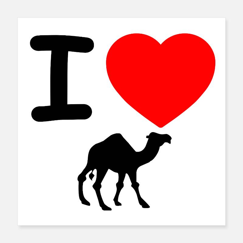 Dromedar Poster 40x40 cm