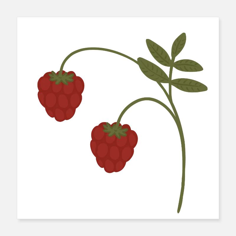 Himbeeren Poster 40x40 cm