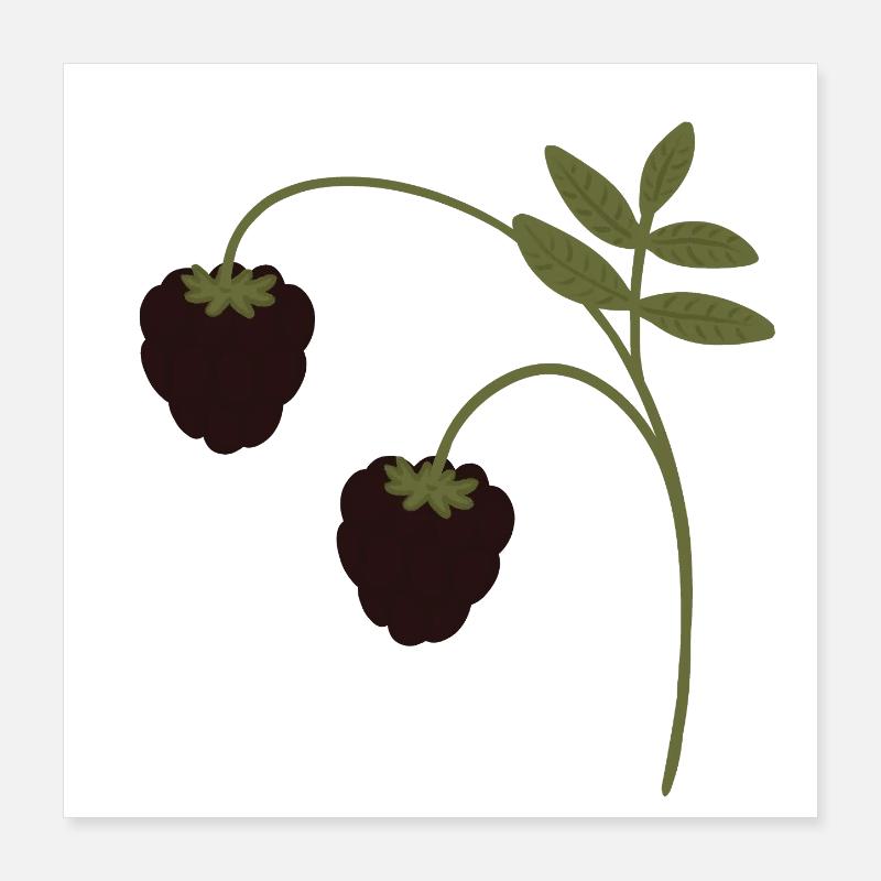 Brombeeren Poster 40x40 cm