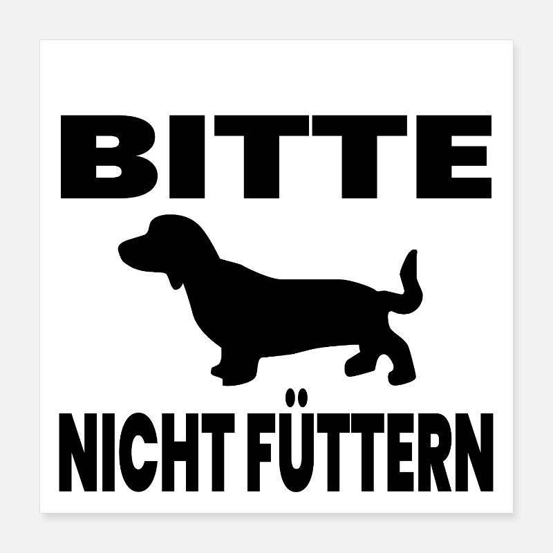 Teckel Poster 40 x 40 cm