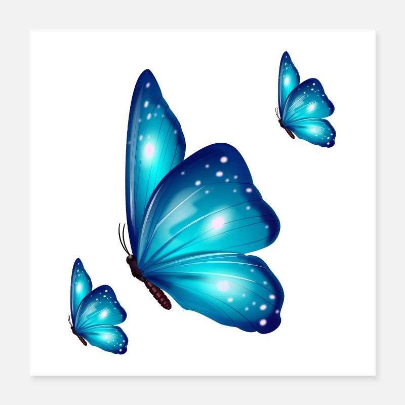 Butterfly trio Poster 16" x 16" (40x40 cm)