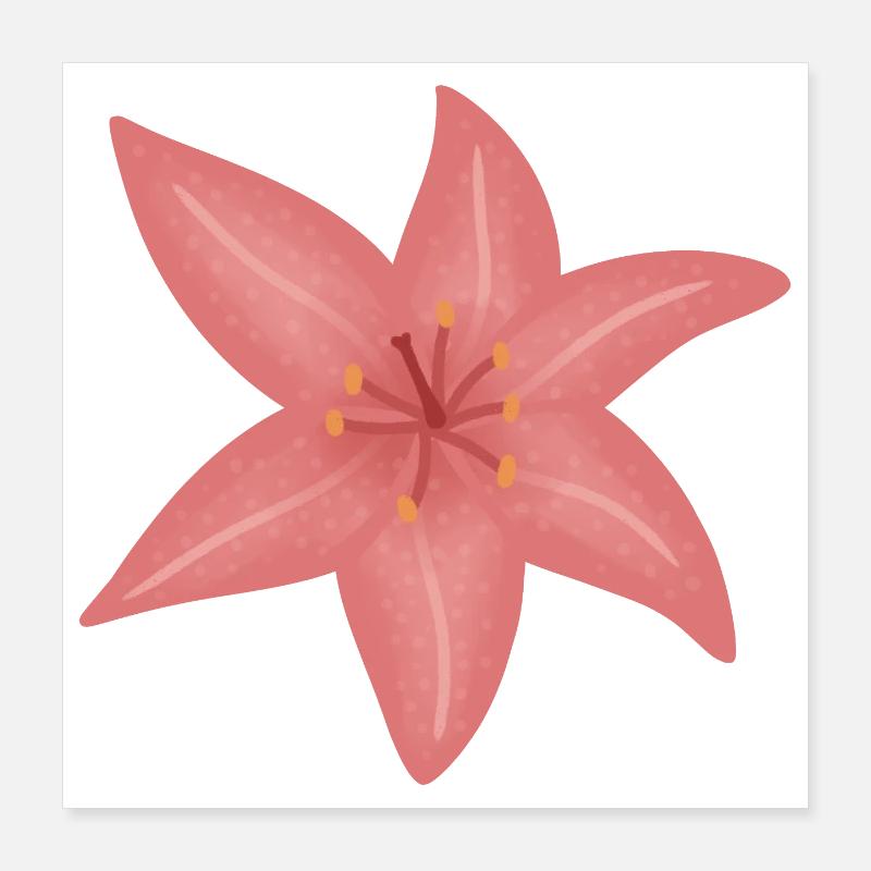 Pink Lily Bloom Illustration Poster 40x40 cm