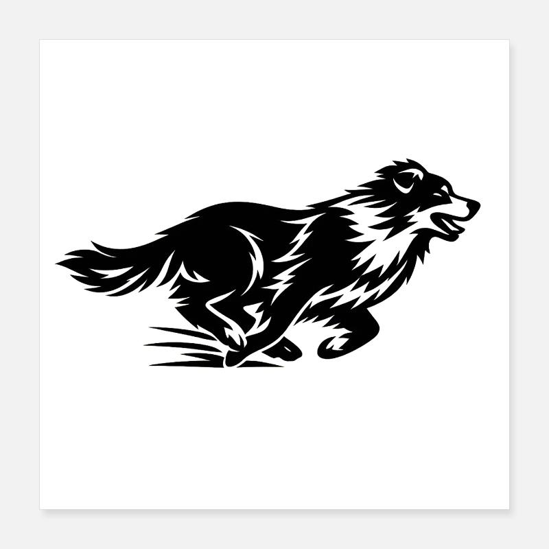 Silhouette du Border Collie en course Poster 40 x 40 cm