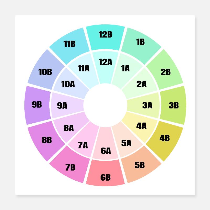 Camelot Wheel Poster 40x40 cm