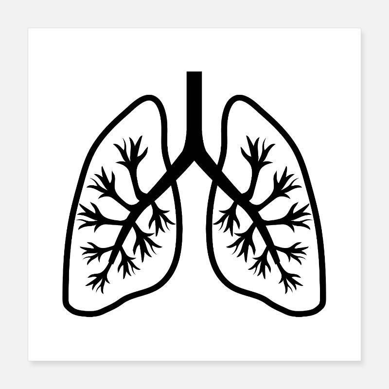 Lungen Poster 40x40 cm