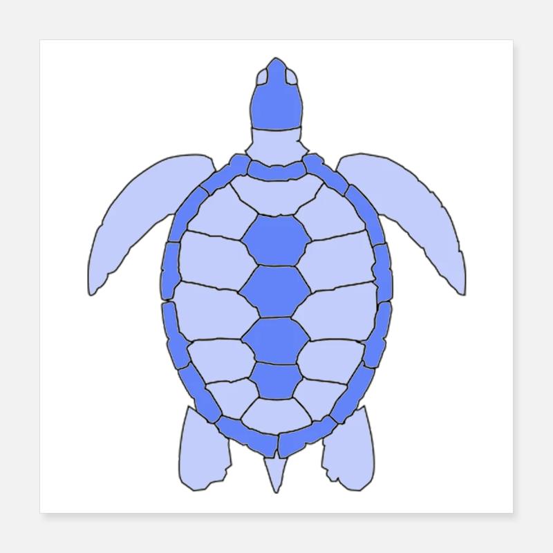 TURTLE Poster 40x40 cm