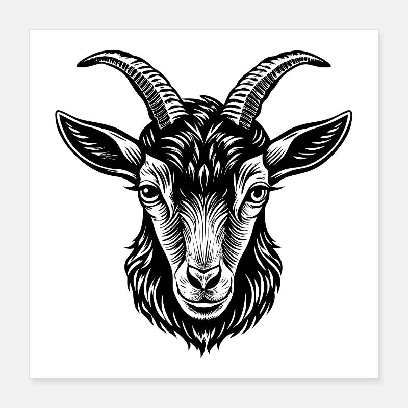 Tête de chèvre Lamancha Poster 40 x 40 cm