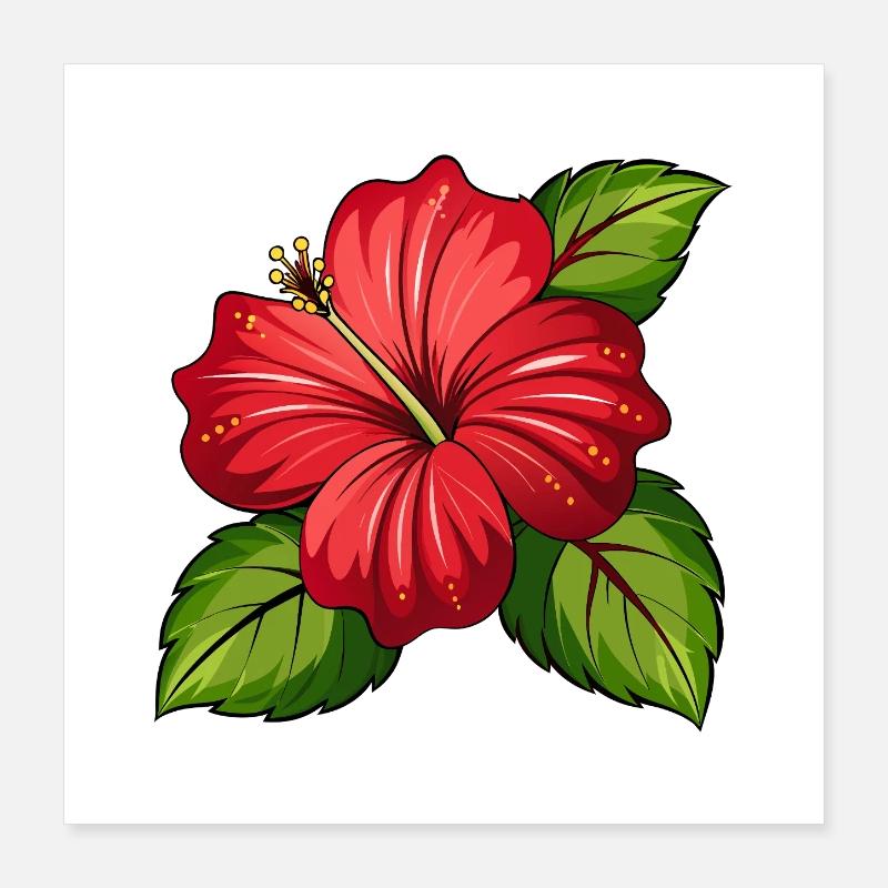 Fleur d’hibiscus Poster 40 x 40 cm