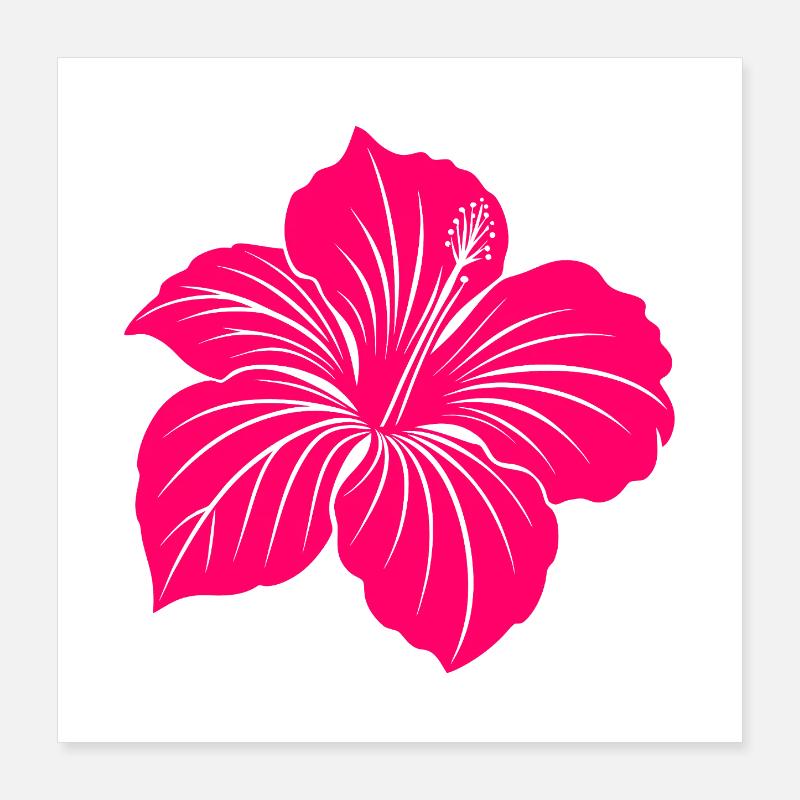 Fleur d’hibiscus Poster 40 x 40 cm