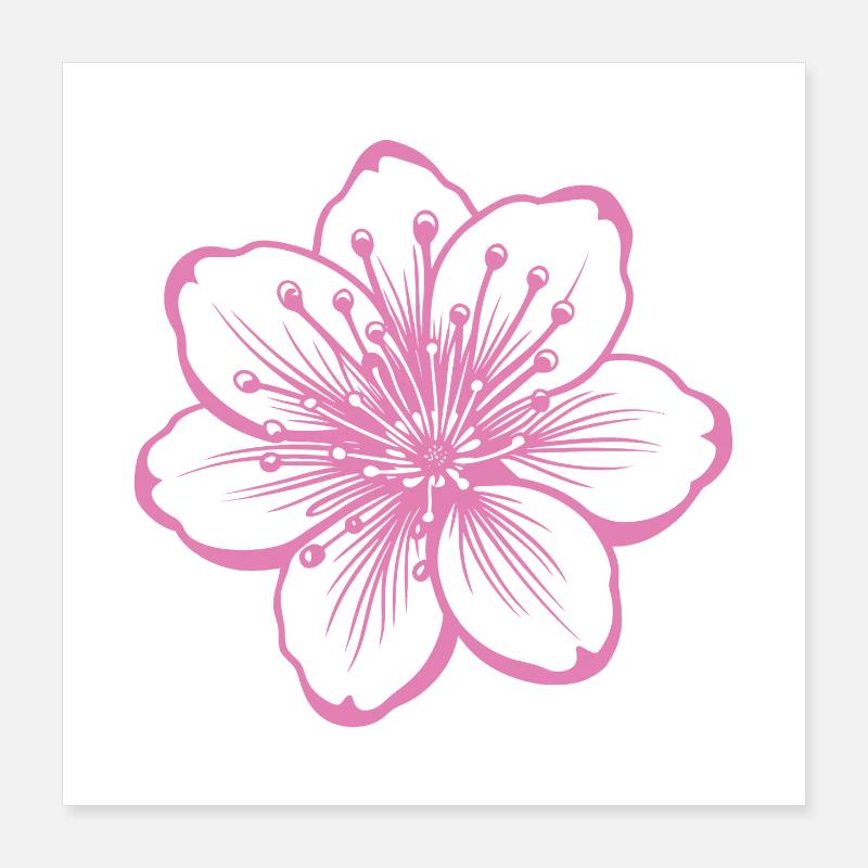 Fleur de cerisier Poster 40 x 40 cm