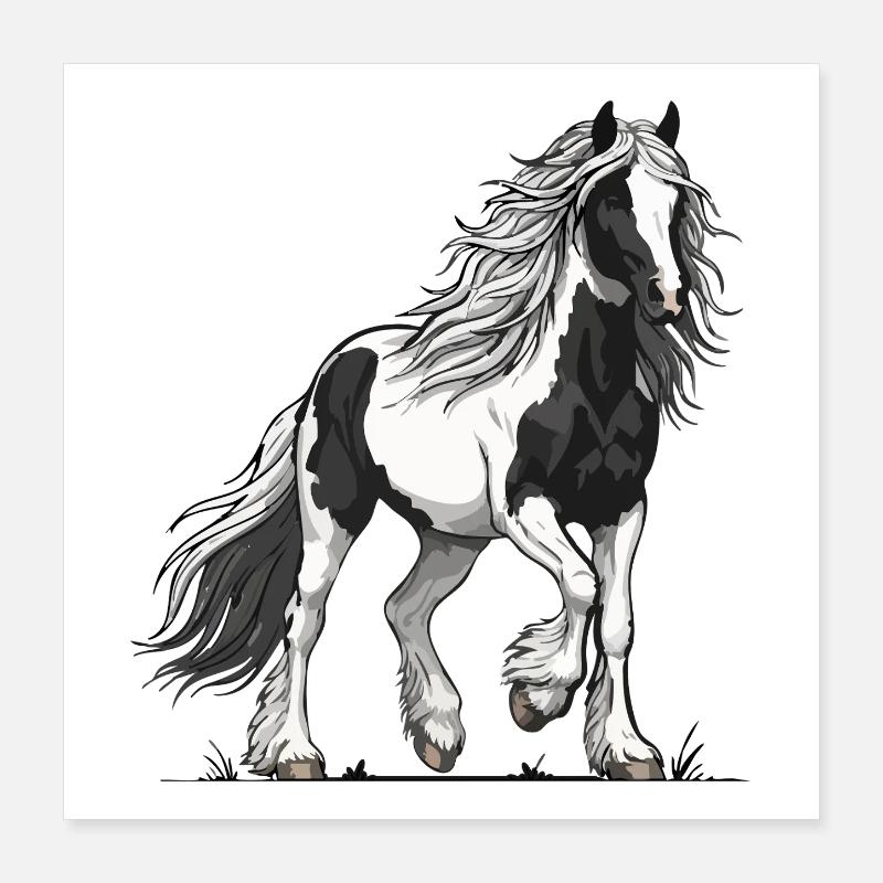 Cheval Pie Noir et Blanc Vanner Équestre Poster 40 x 40 cm