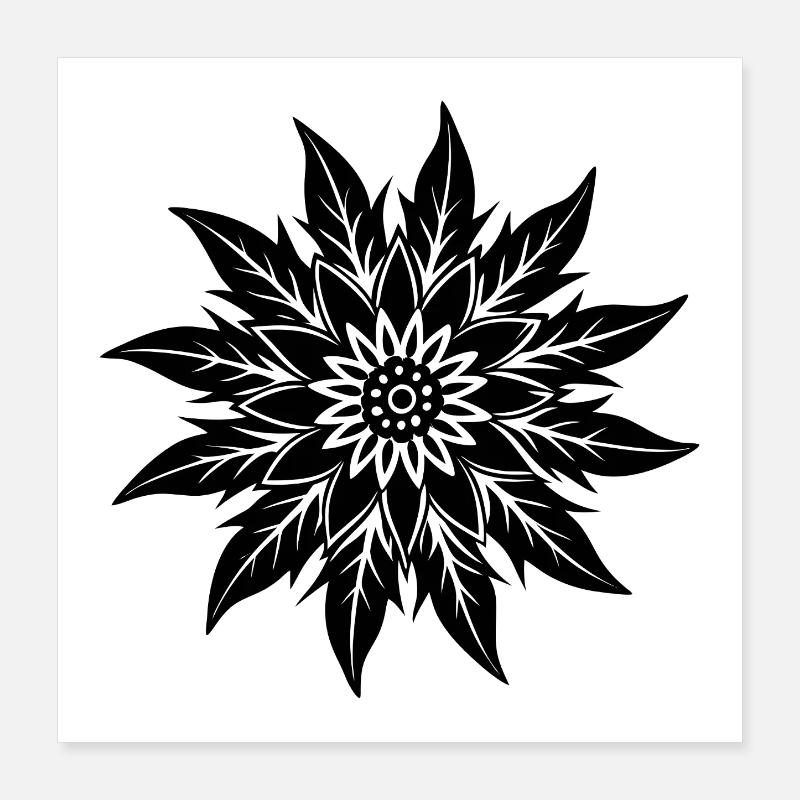 Fleur d’Edelweiss Poster 40 x 40 cm