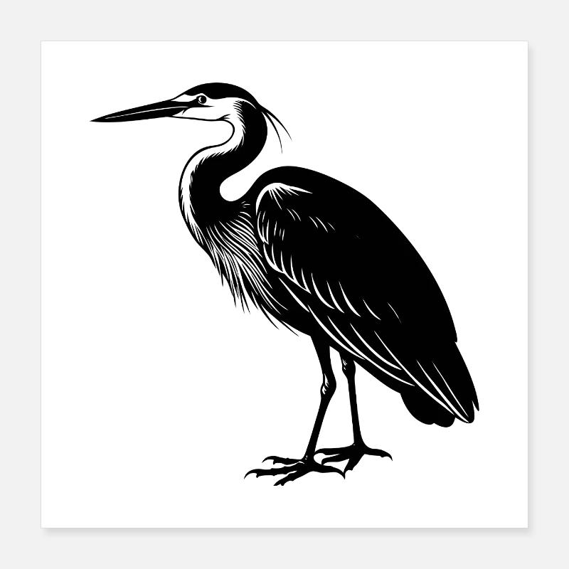 Großer Blauer Reiher Poster 40x40 cm