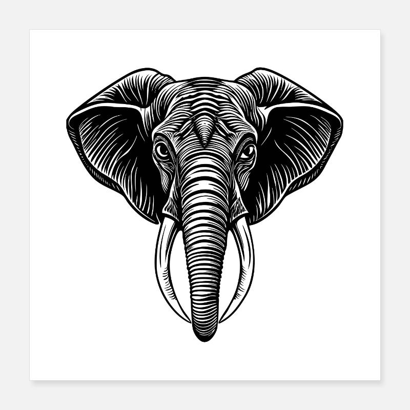 Elephant head Poster 16" x 16" (40x40 cm)