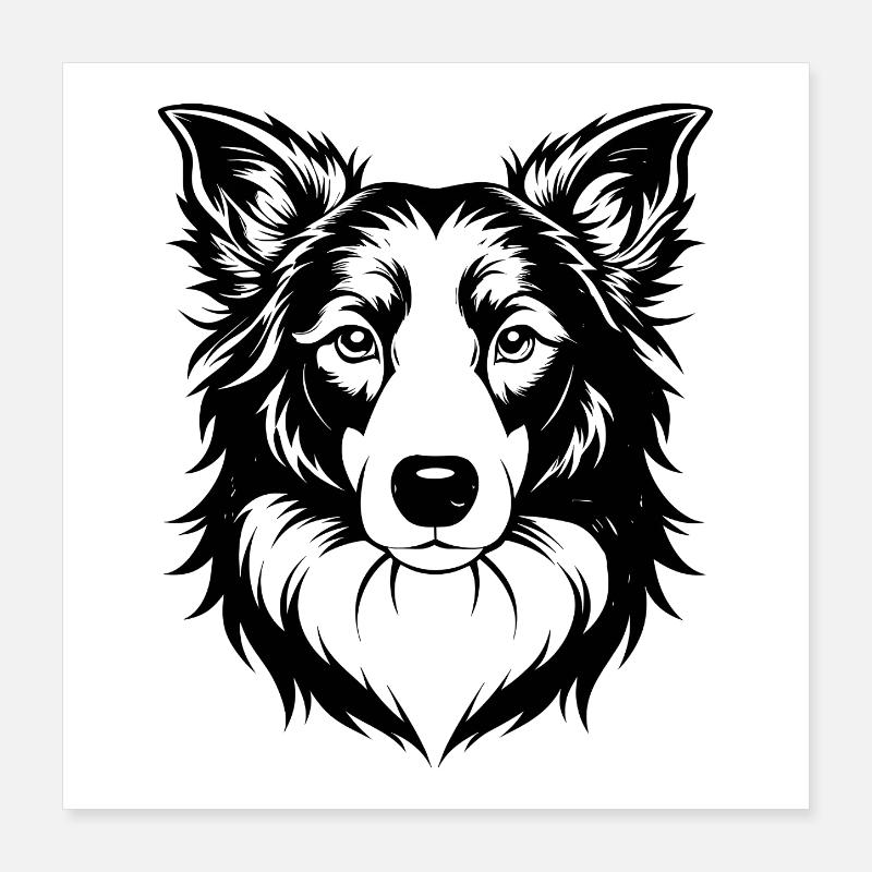 Border Collie Poster 40 x 40 cm