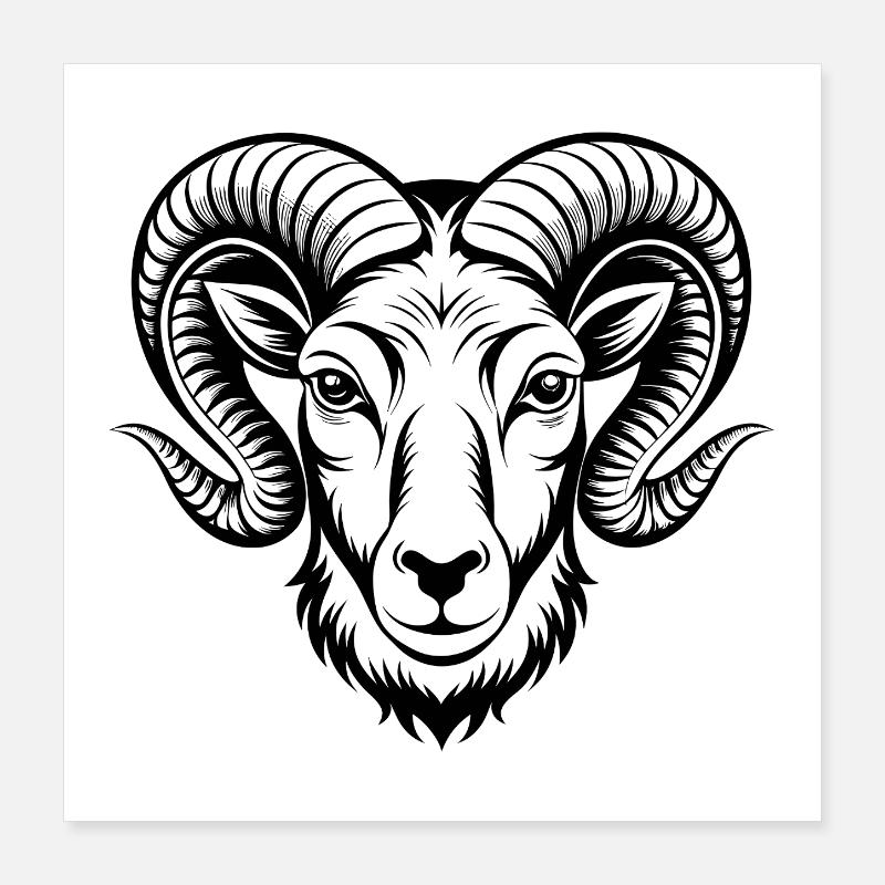 Mouflons d’Amérique Poster 40 x 40 cm