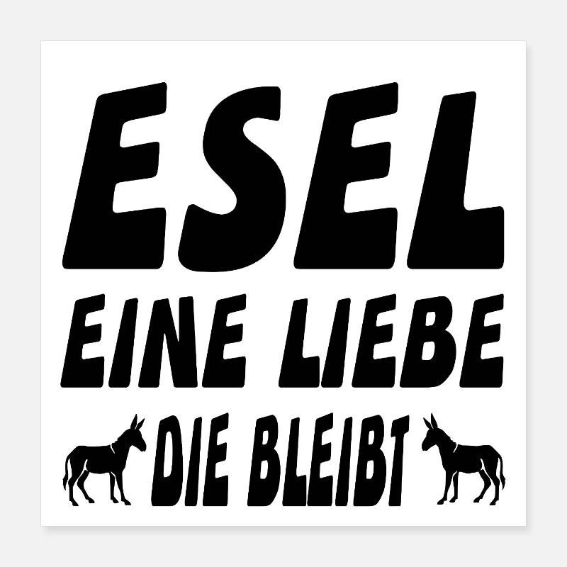 Esel Poster 40x40 cm